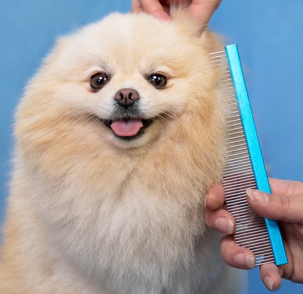 Dog Grooming Comb