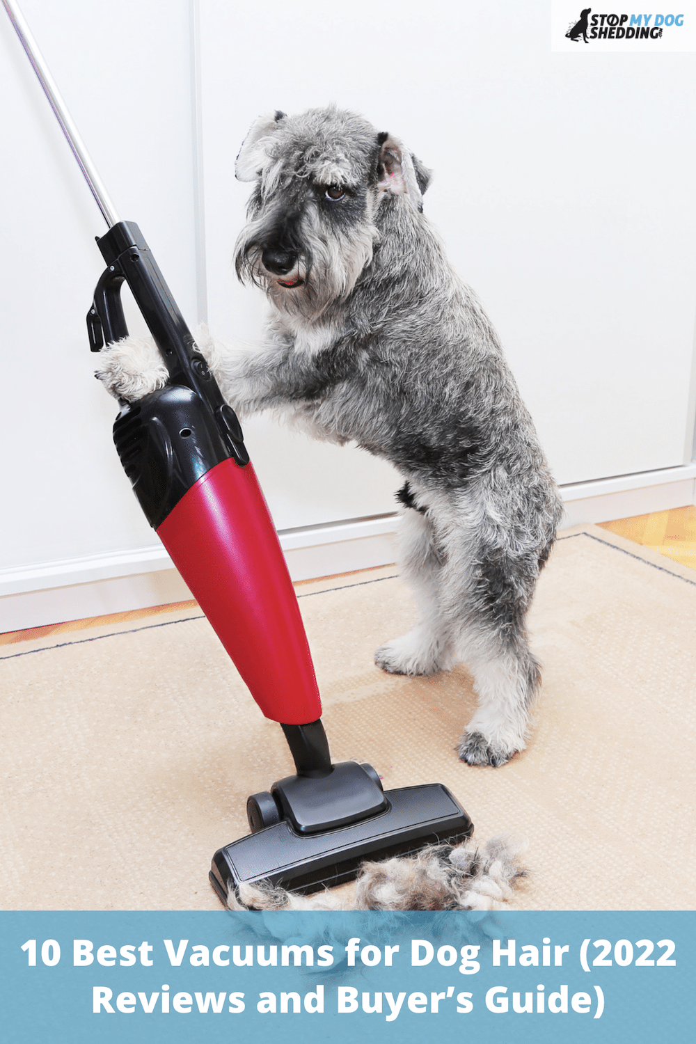 10 Best Vacuums for Dog Hair (2022 Reviews and Buyer’s Guide)